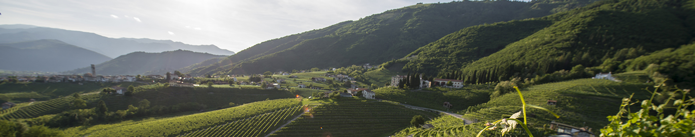 Prosecco Superiore DOCG