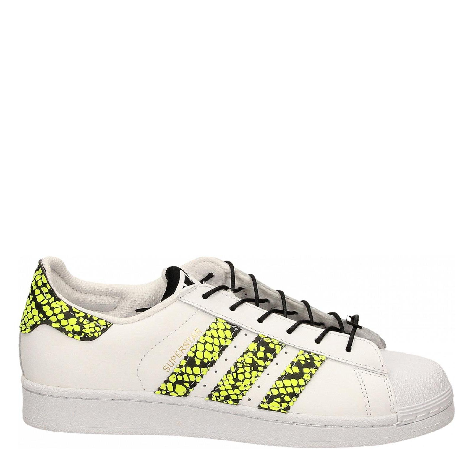 SUPERSTAR CUSTOM اي بي جيم SUPERSTAR CUSTOM اي بي جيم