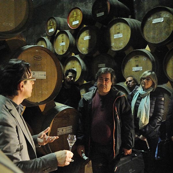 Attività AIS Veneto: visite in cantina