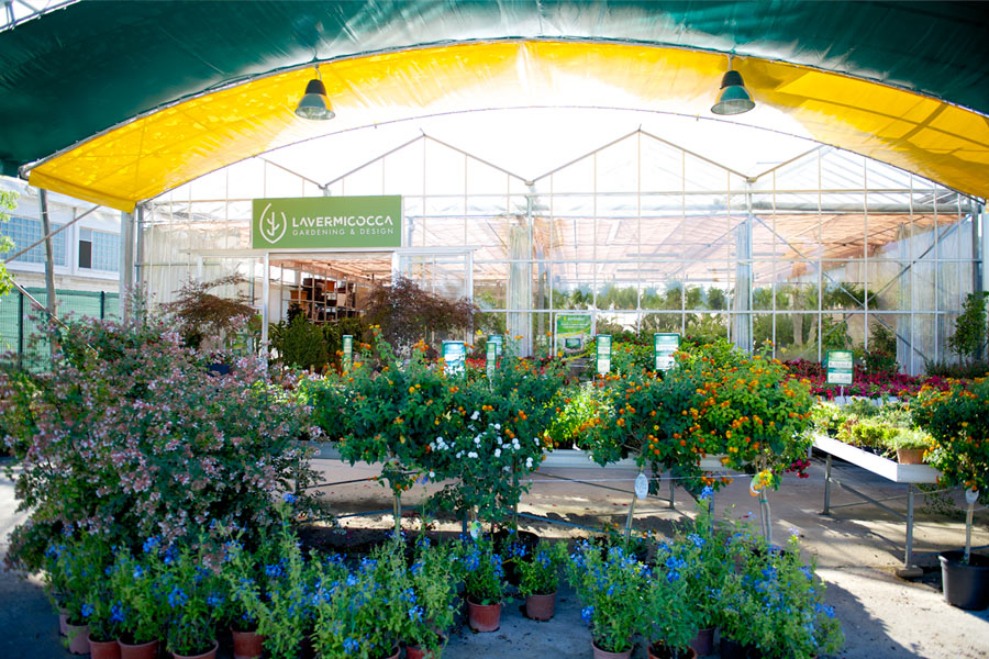 Vivaio entrata frontale