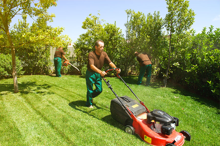 Operai al lavoro prato vivaio