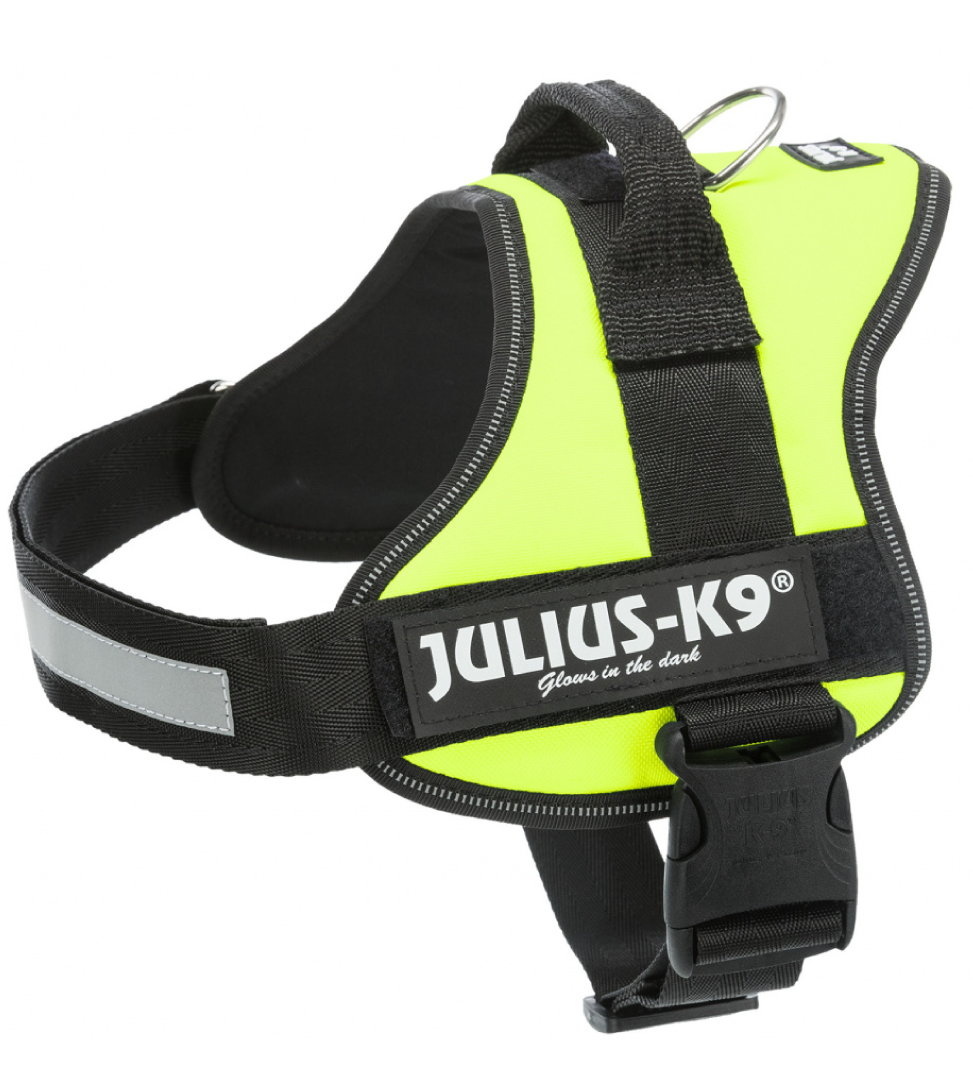 Pettorina Per Cane Julius-K9 - Taglia 2, Neon/Grigio, Controllo Sicuro - Foto 6