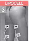 PROGRAMMA_LIPOCELL