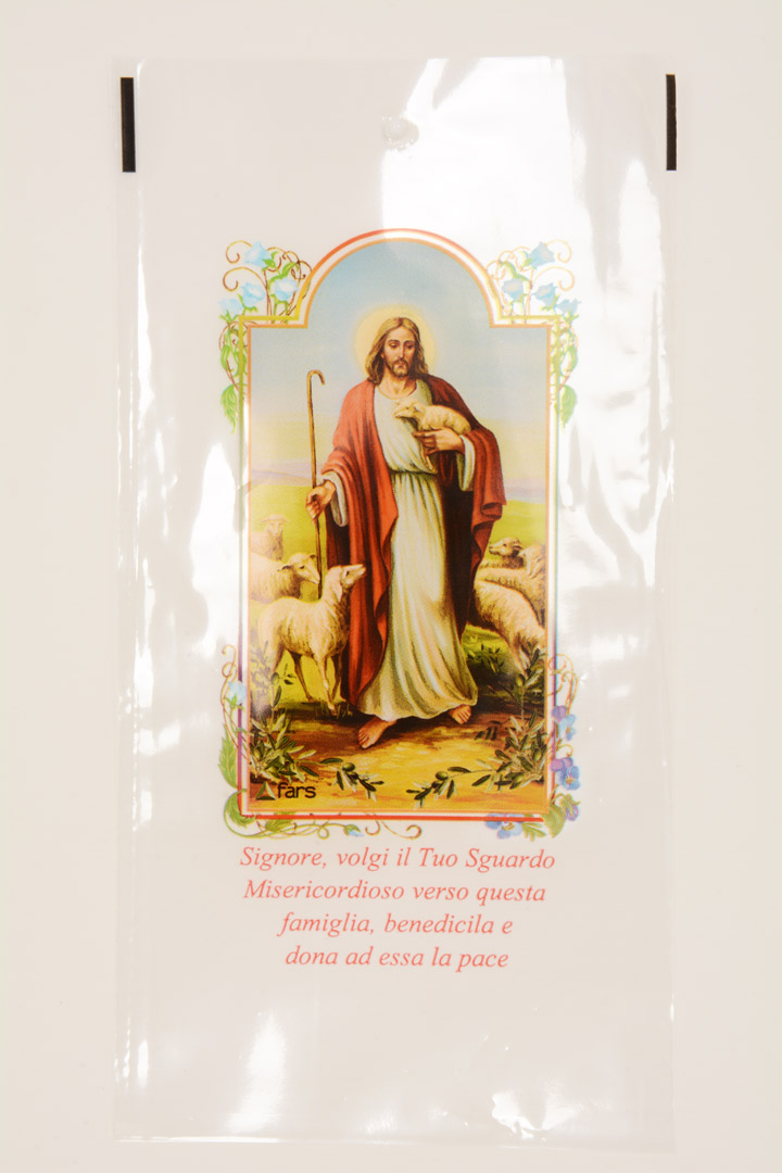 Busta porta ramo ulivo 