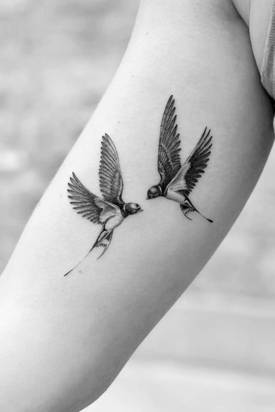 Il significato dei tatuaggi la rondine