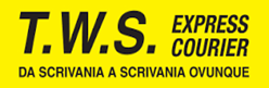 Tws Express Courier logo