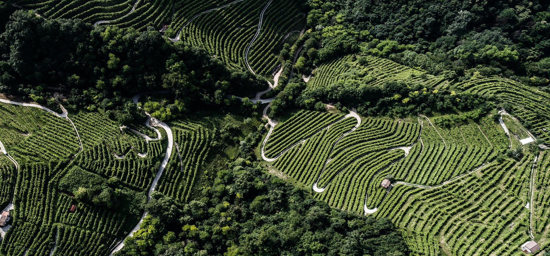 Territorio Colli del Soligo