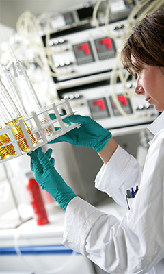 Il mantenimento del peso corporeo