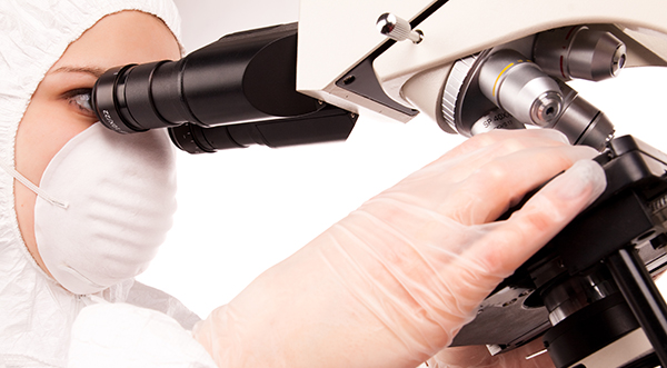 termogenici rischiosi