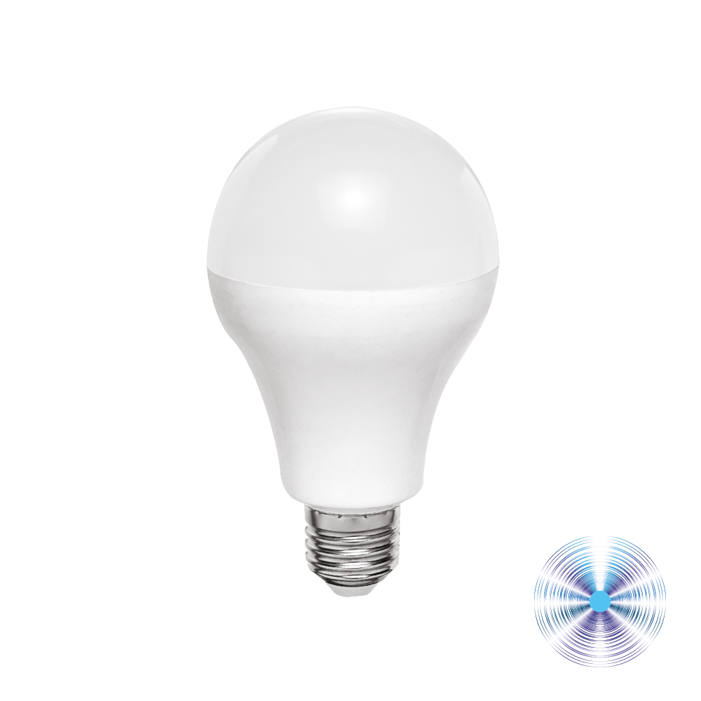 LAMPADINE LED A65 E27 20W 6000K