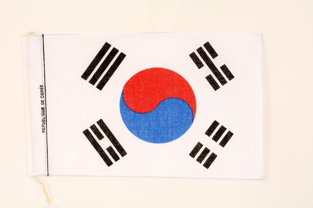 Bandiera Corea Del Sud cm 14x21