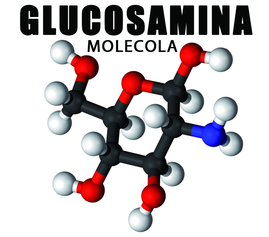 Le proprietà della Glucosamina