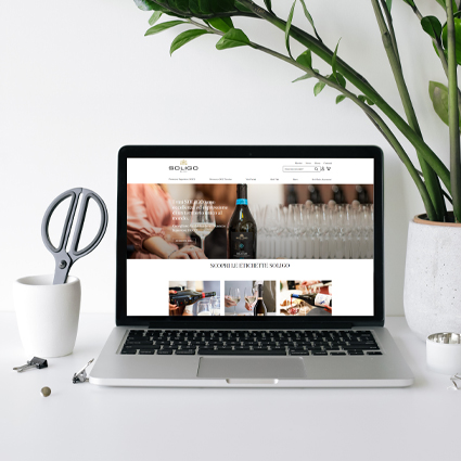 Acquisto vino online veloce e sicuro su Colli Soligo