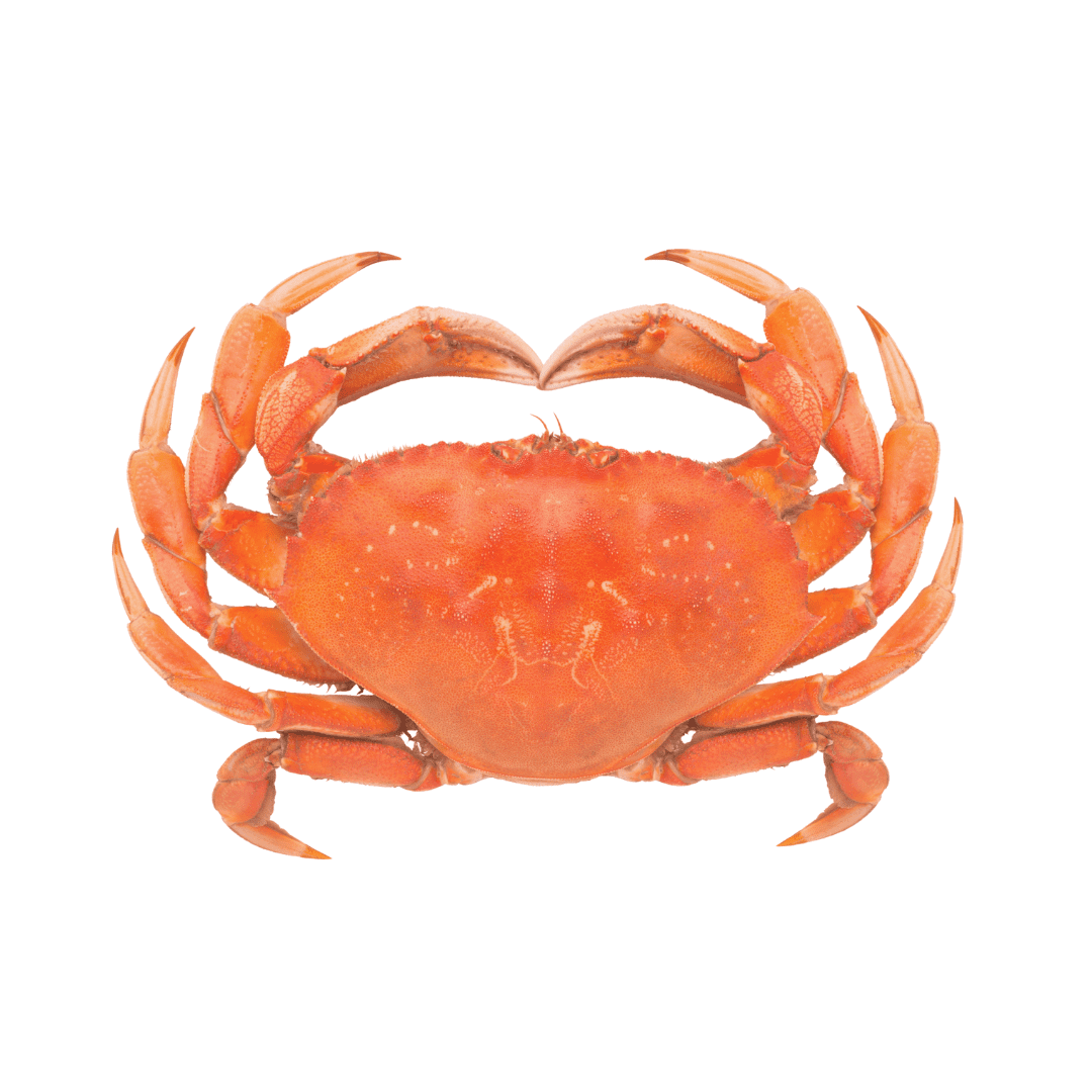 granchio