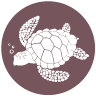 Ocean Respect