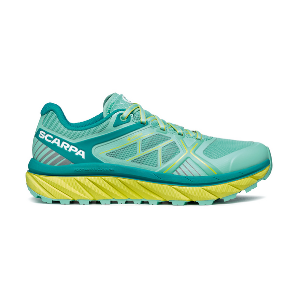 SPIN INFINITY GTX WMN | SCARPA