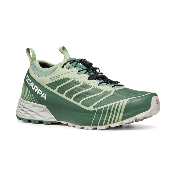 RIBELLE RUN GTX WMN | SCARPA