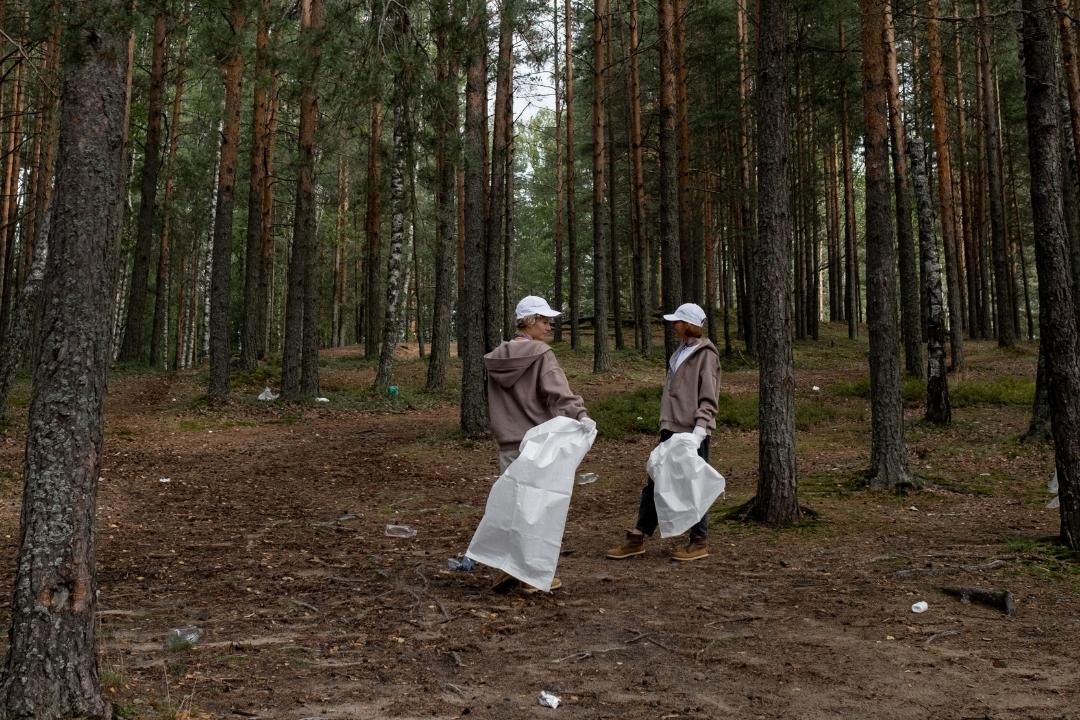 Plogging nel bosco
