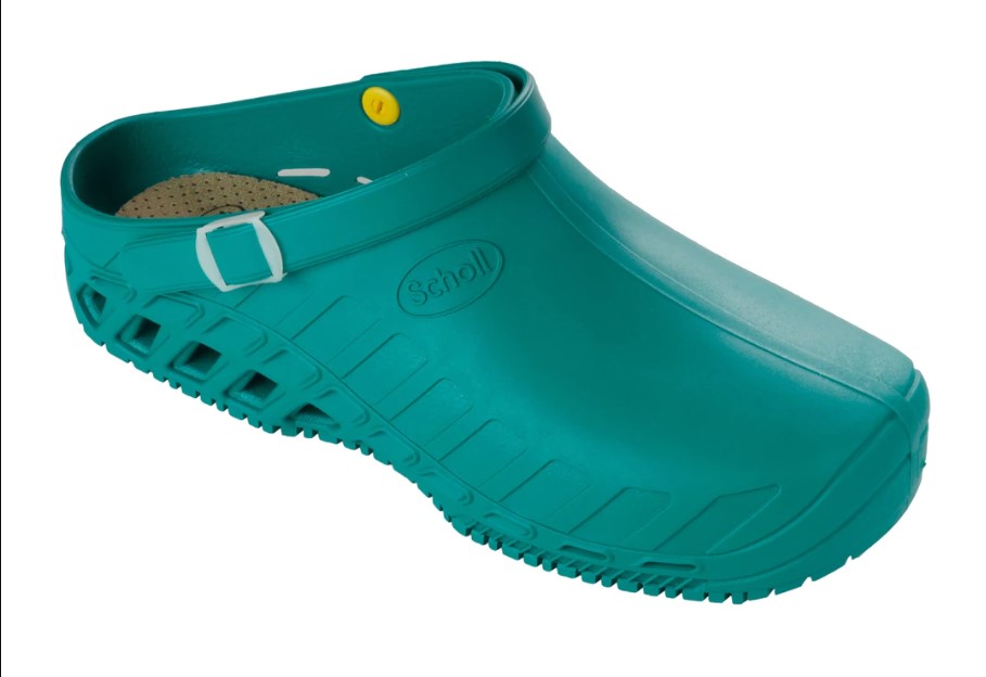 CLOG EVO DOTT. SCHOLL