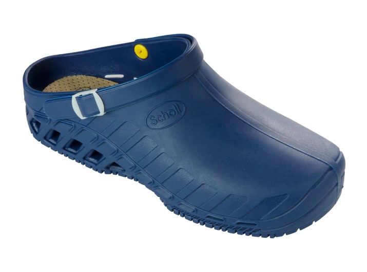 CLOG EVO DOTT. SCHOLL