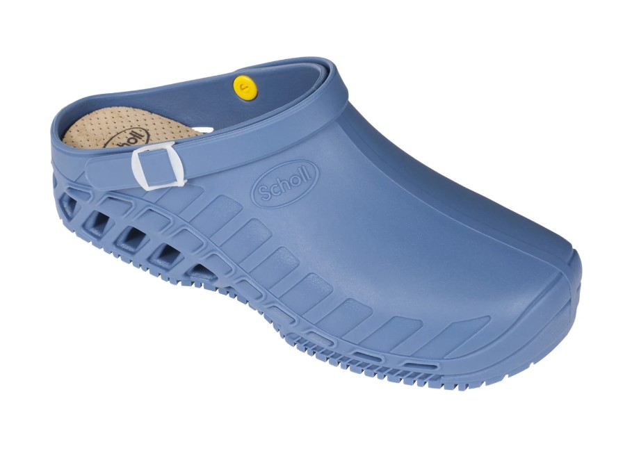 CLOG EVO DOTT. SCHOLL