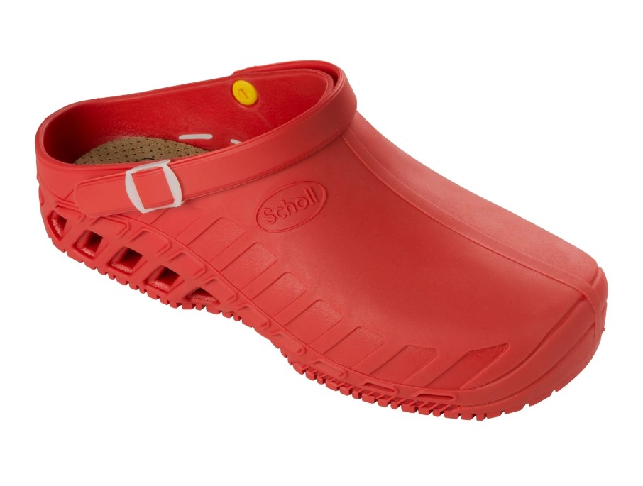 CLOG EVO DOTT. SCHOLL