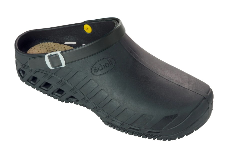 CLOG EVO DOTT. SCHOLL