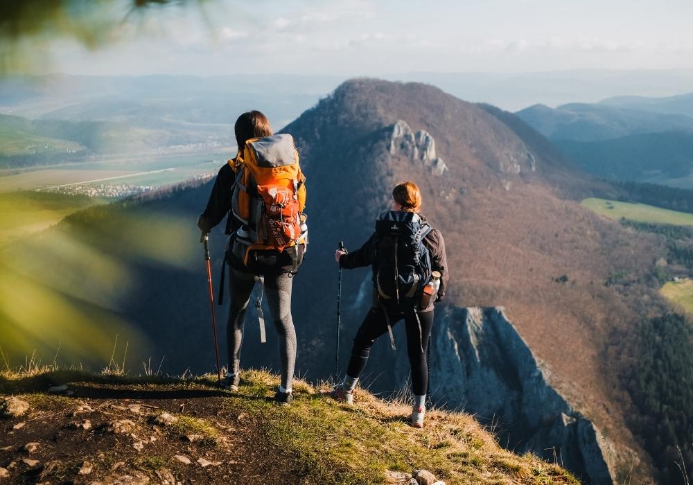 Trekking poles