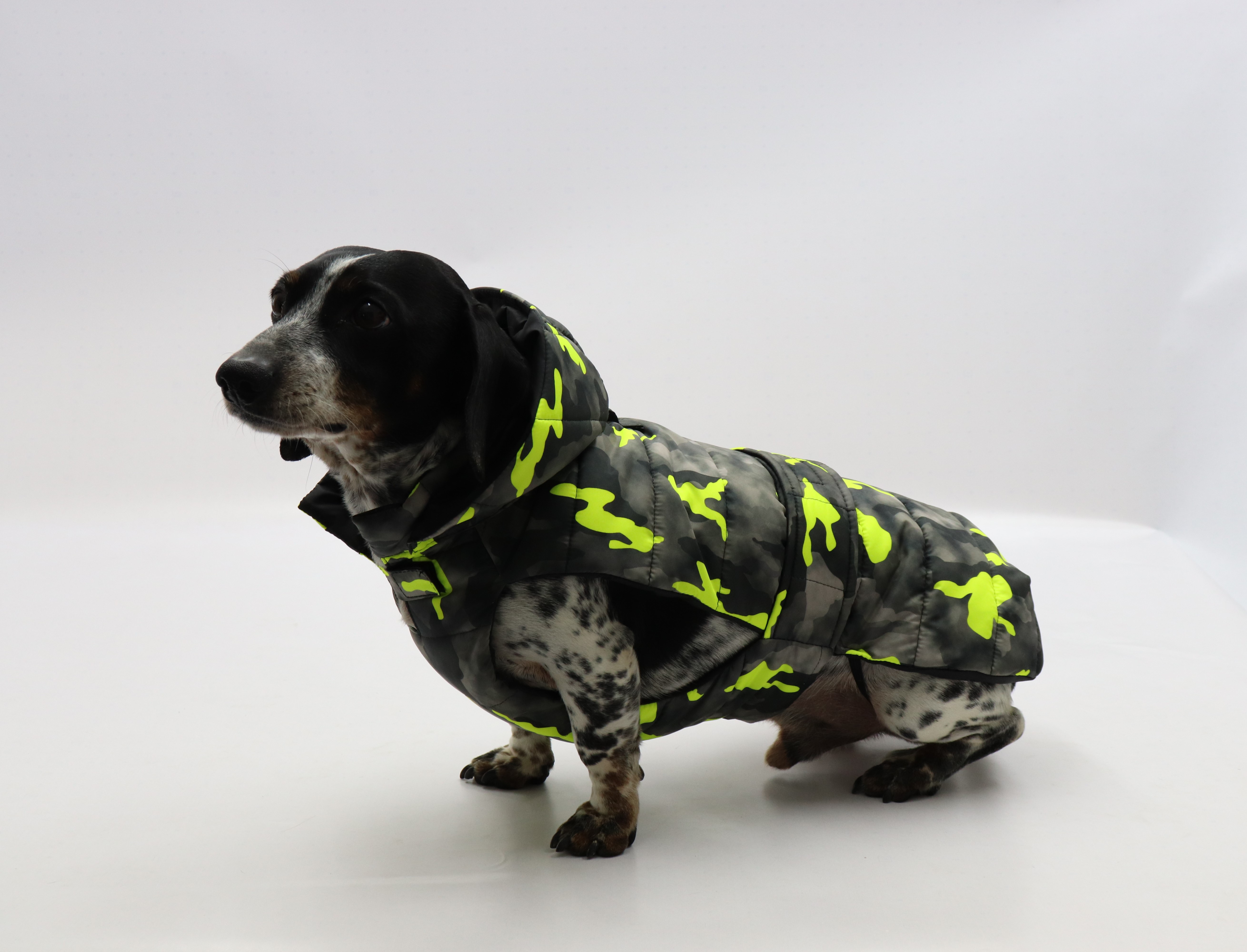 Fashion Dog - Cappotto Impermeabile - con Imbottitura Staccabile