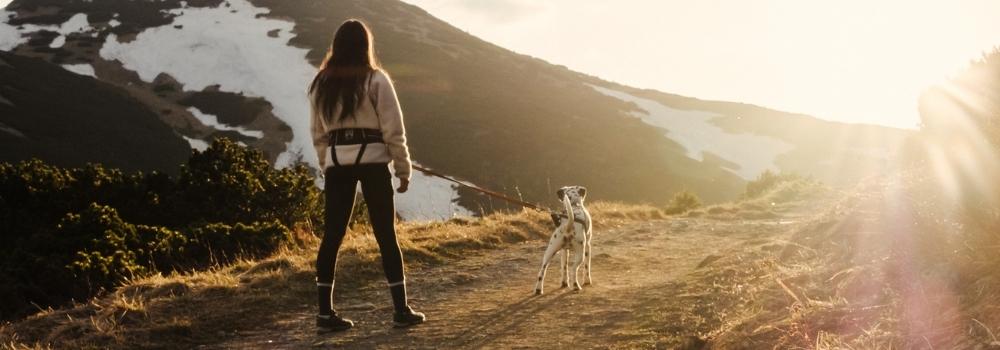 Zaino per cane hot sale in montagna