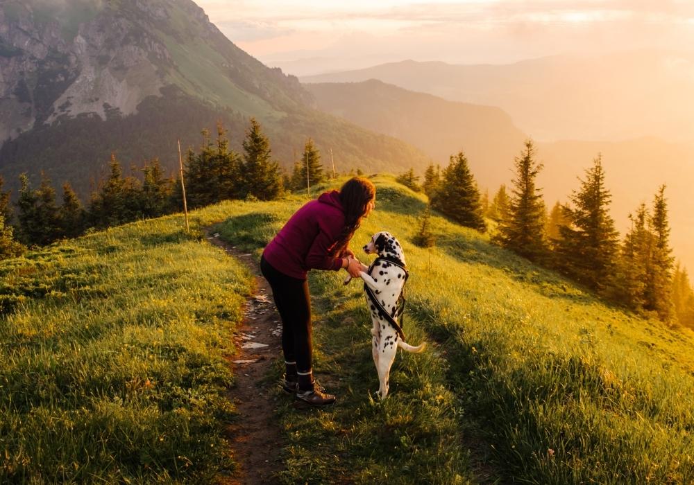 Zaino per cani on sale trekking