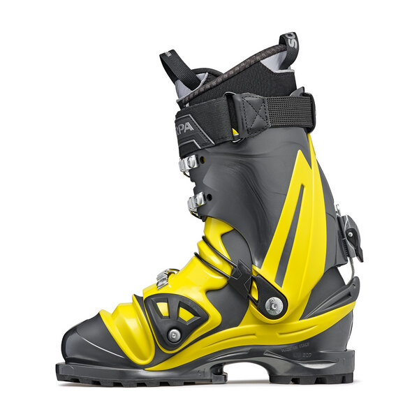 Scarpa ntn 2025