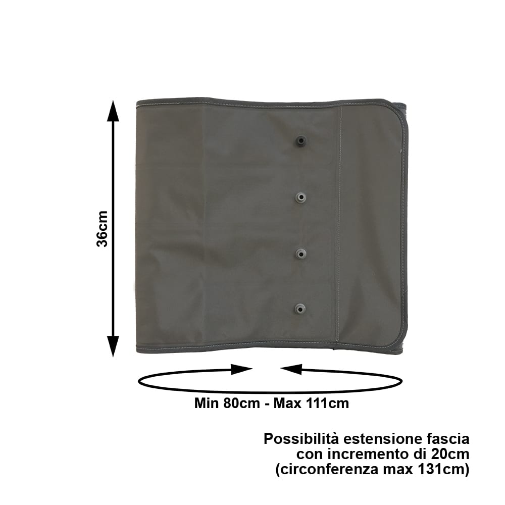 Fascia addominale