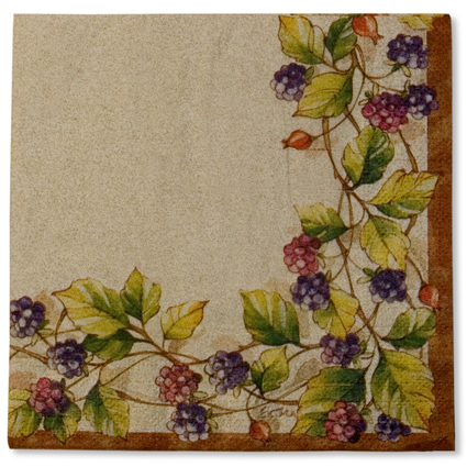 20 TOVAGLIOLI 33x33 3V MORE