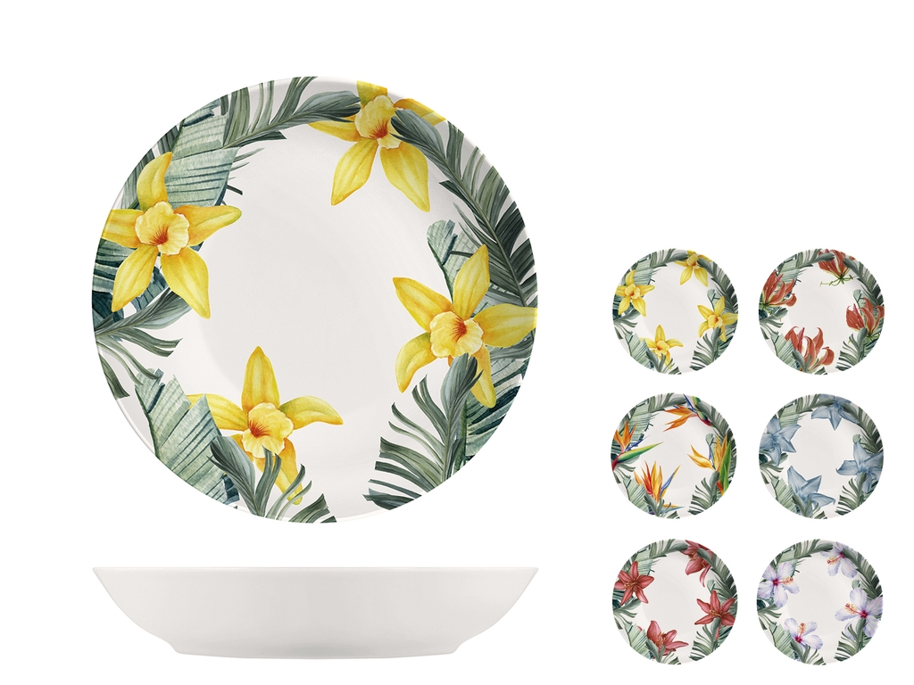 Set De 6 Assiettes à Dessert H&H En Porcelaine Bone China - Motif Fruits Exotiques 21cm