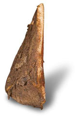 Guanciale Stagionato al pepe