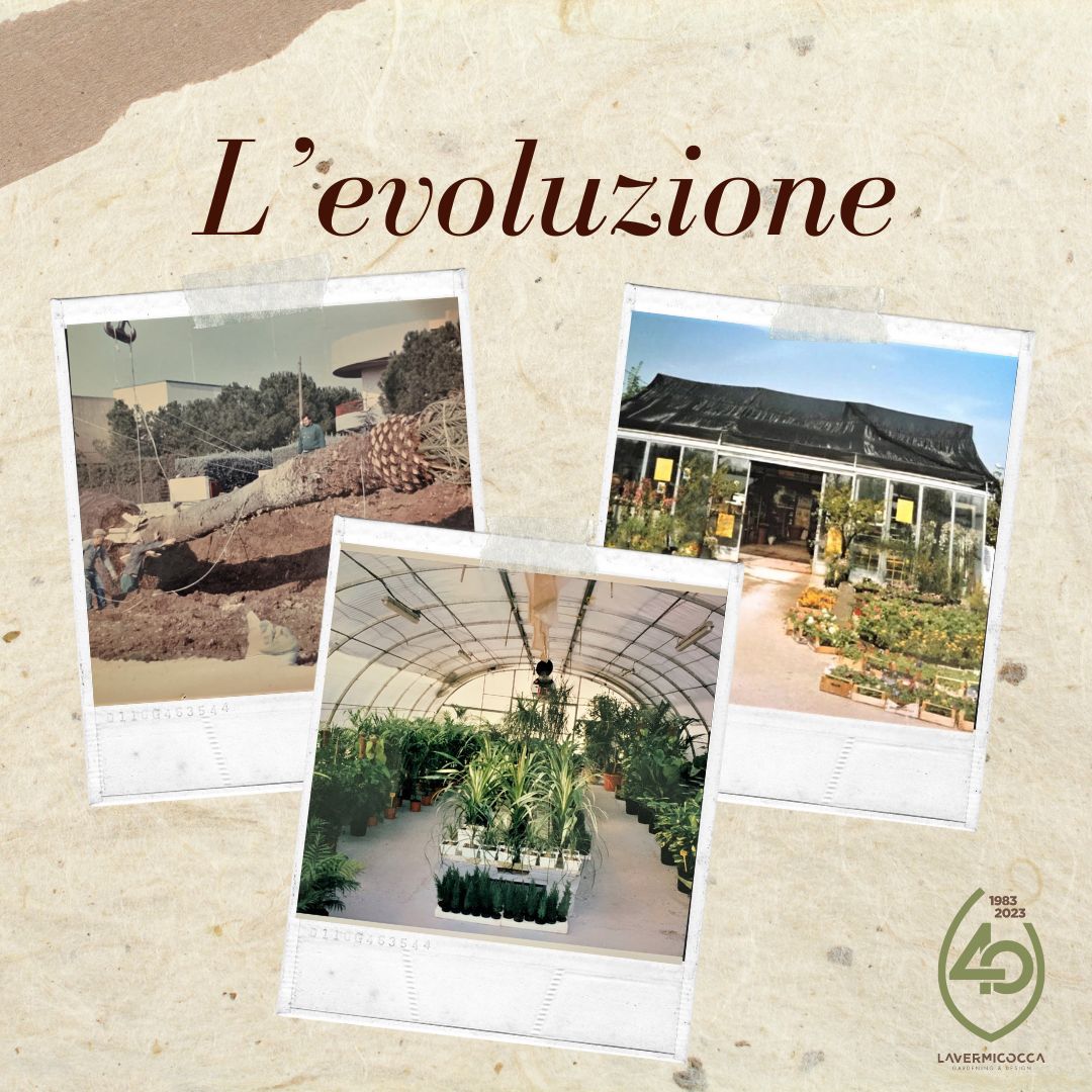 Anniversario 40 anni Vivai Lavermicocca l'evoluzione
