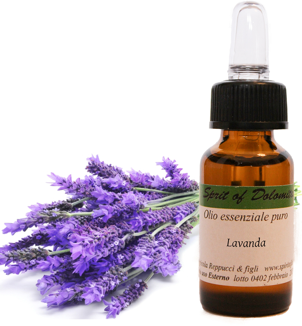 Olio essenziale alla Lavanda puro 30ml - Momenti Memorabili - Beauty  Super-Store