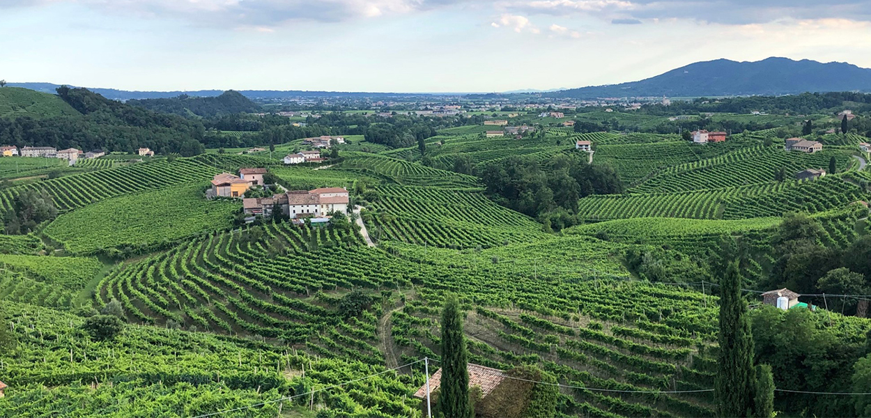 L’anfiteatro naturale del Cartizze. I vigneti seguono l’andamento delle colline tra San Pietro di Barbozza, Santo Stefano e Saccol, nel comune di Valdobbiadene.