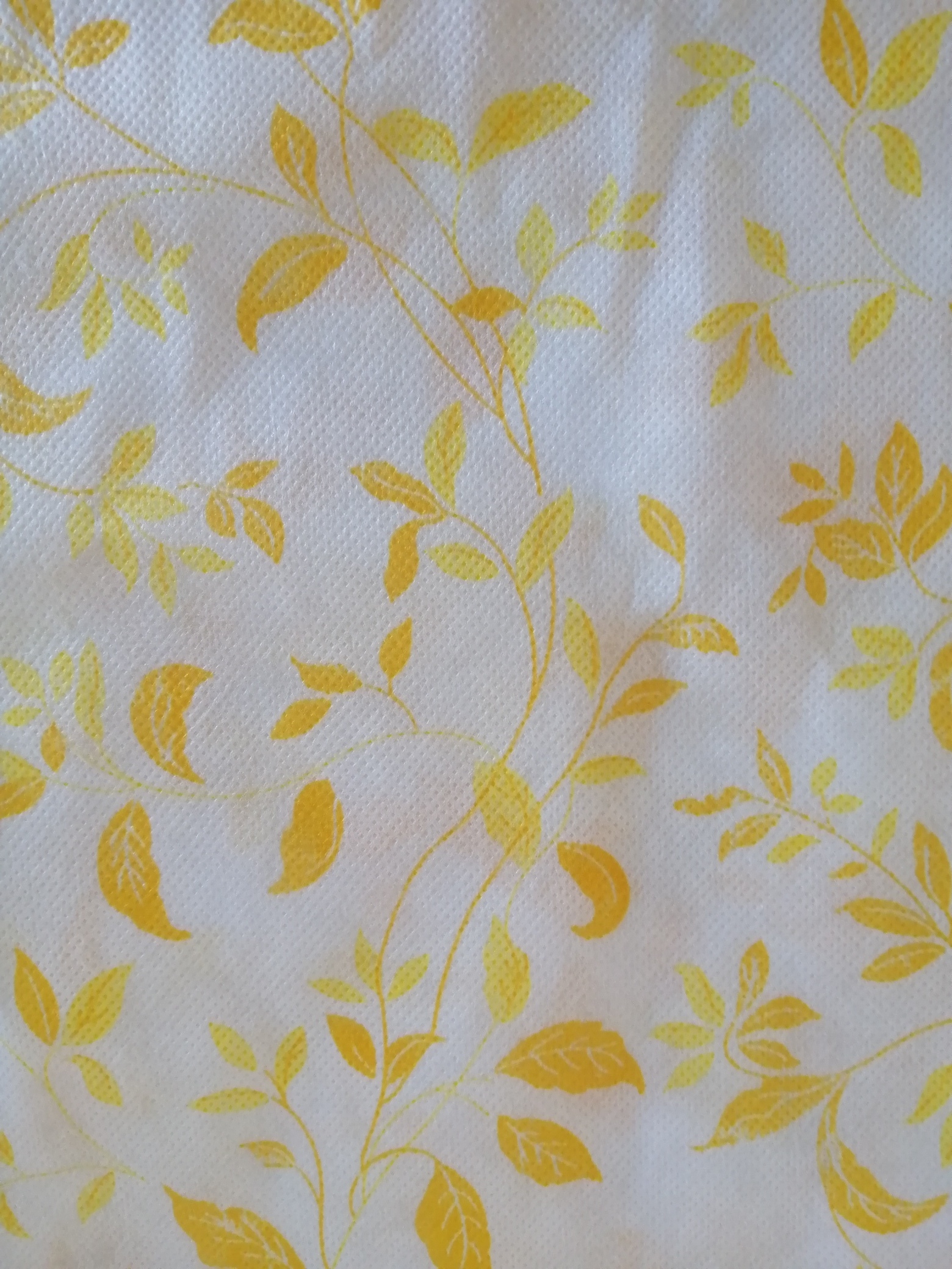 50 COPRIMACCHIA  TNT 100x100 ENGLISH GIALLO 