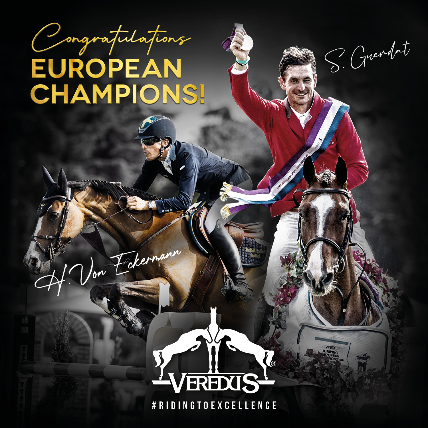 Veredus equestrian sale