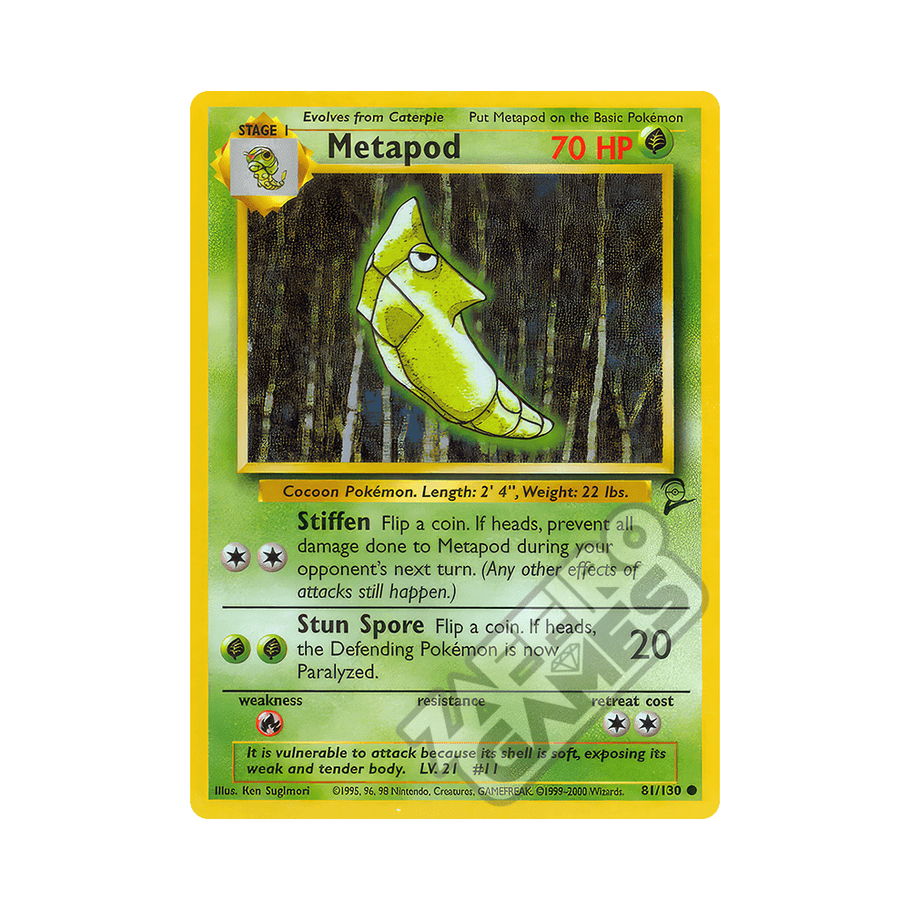 081/130 Metapod Comune (ENG) - Set Base 2