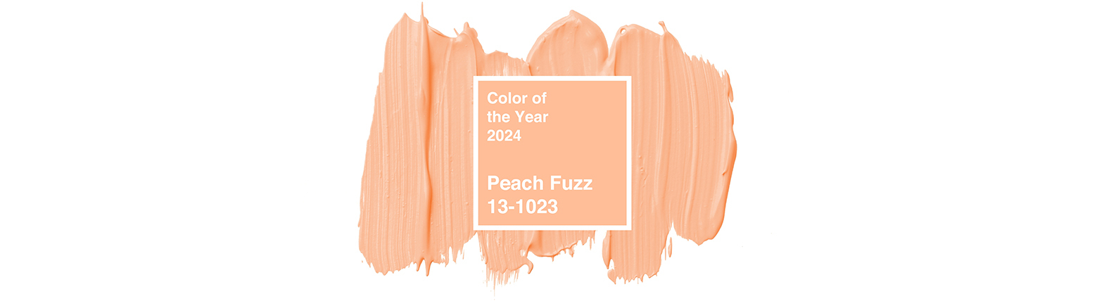 Peach Fuzz è il colore del 2024 