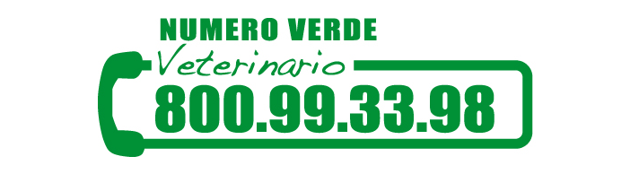 Numero verde