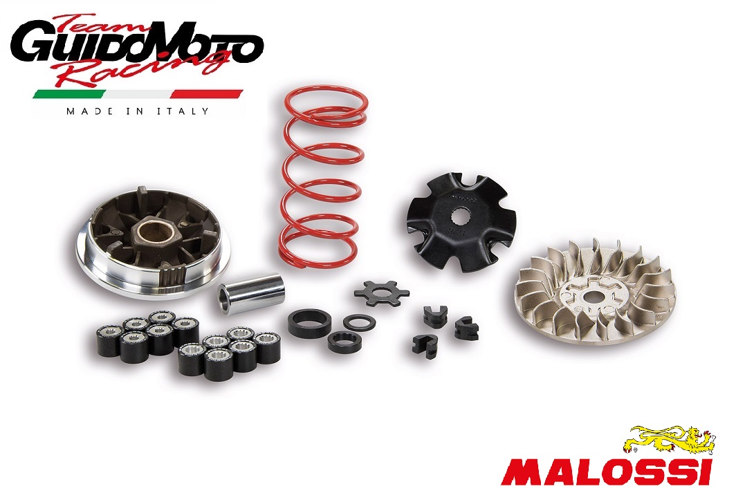 VARIATORE MALOSSI MULTIVAR MHR RULLI Ø 16 SCOOTER MOTORE MINARELLI 5113161  Specialista Vespa, Lambretta, Ciao e Vintage