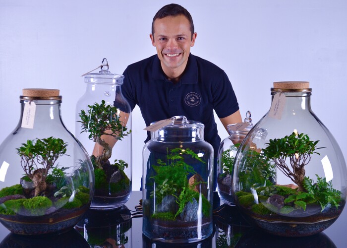Idee per un Paradiso Verde: il Nuovo Articolo di The Spruce sui Terrari!