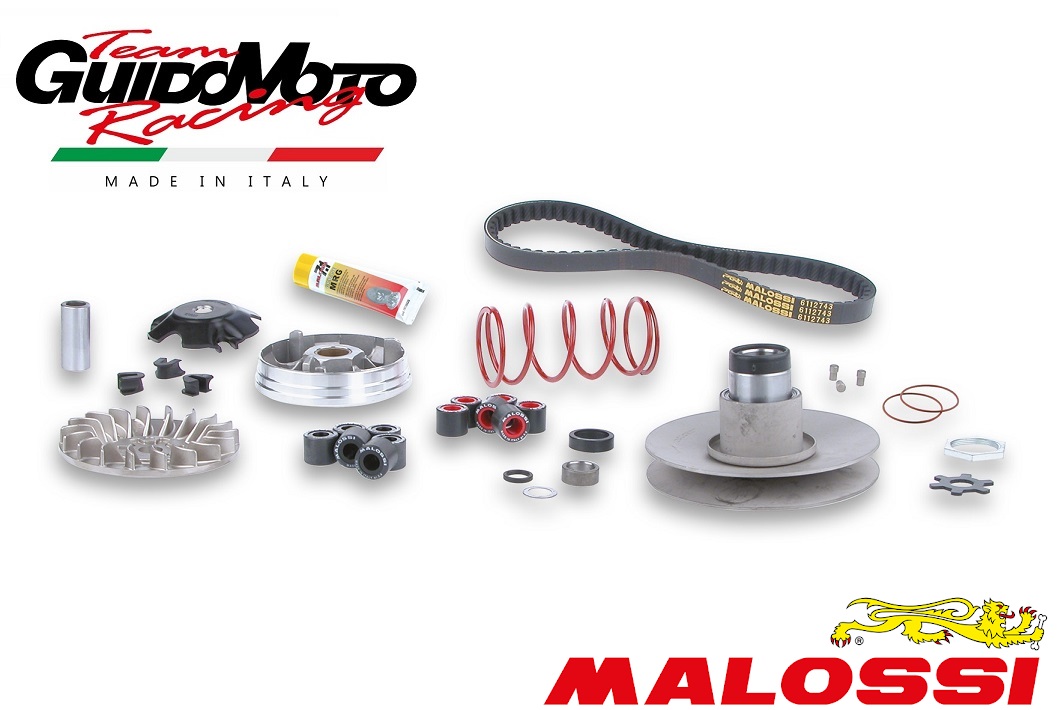 GRUPPO TRASMISSIONE OVER RANGE MALOSSI SCOOTER 50 MOTORE MINARELLI 6112811