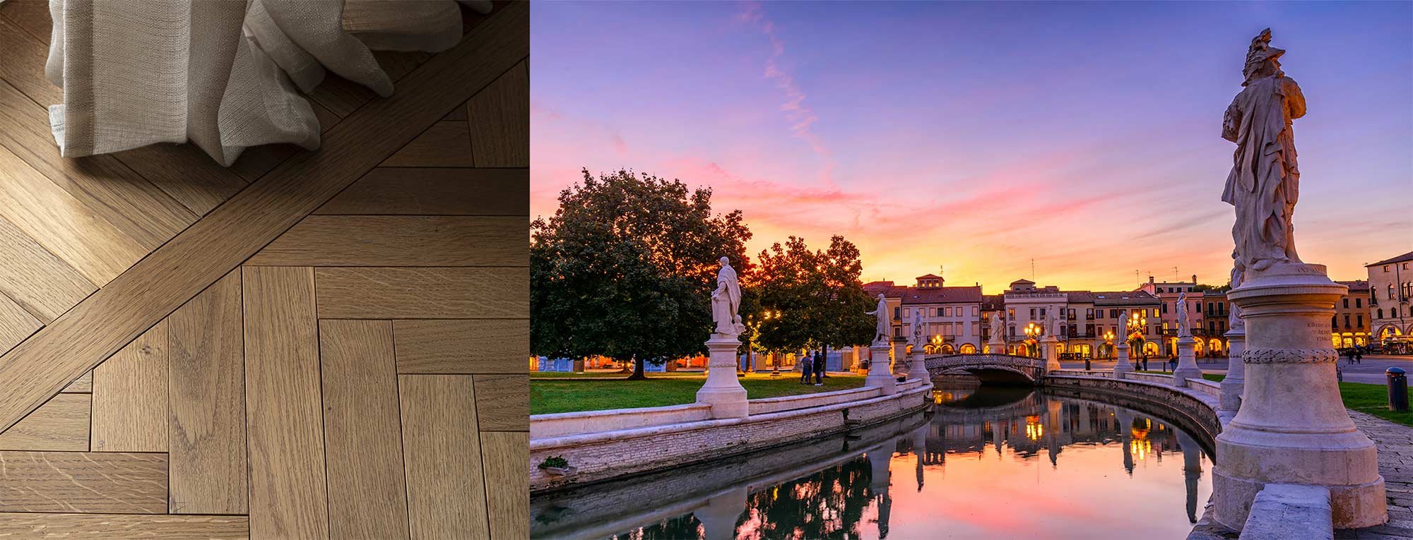 Rovere antico a Prato della Valle