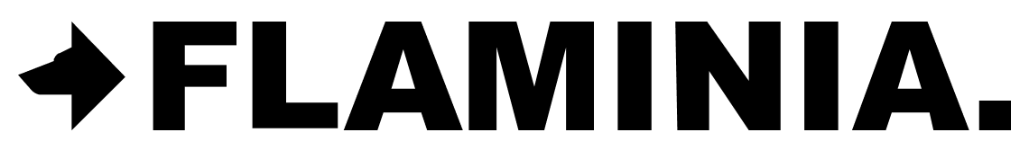 Immagine categoria prodotto