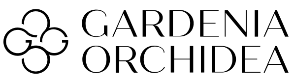 Immagine categoria prodotto